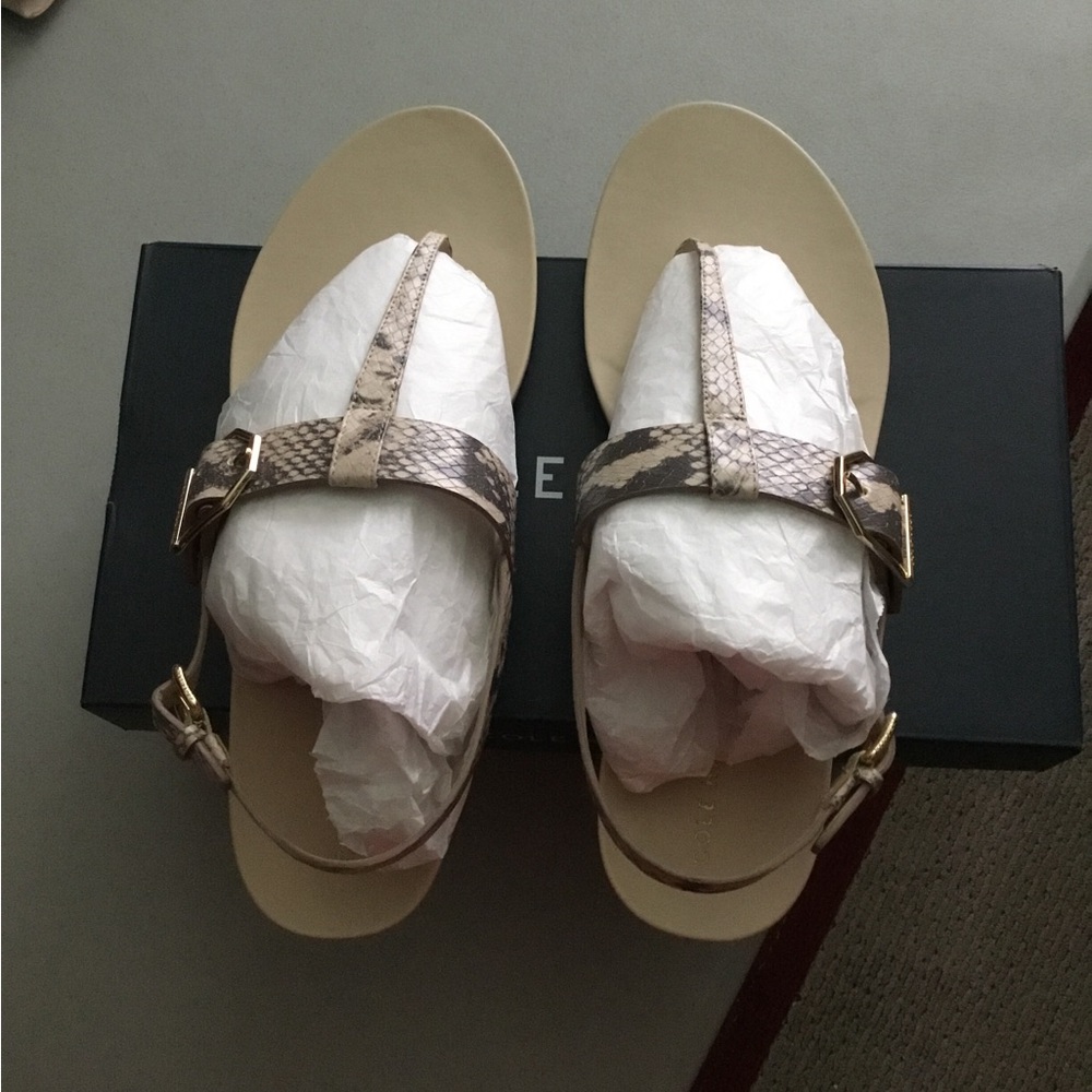 COLE HAAN - Picture 8 of 10